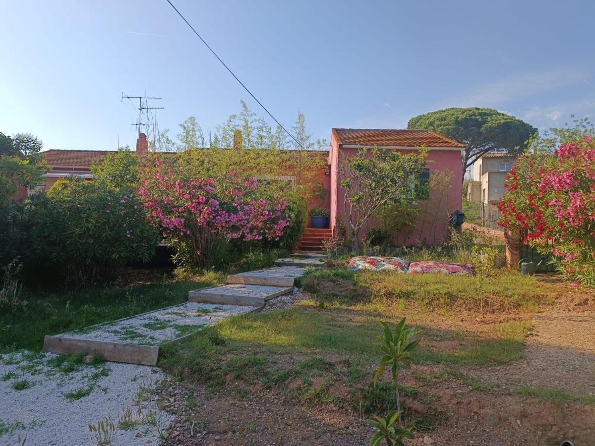 Maison De Vacances, Proche De La Plage Fréjus Eksteriør billede