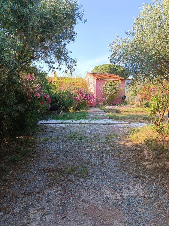 Maison De Vacances, Proche De La Plage Fréjus Eksteriør billede